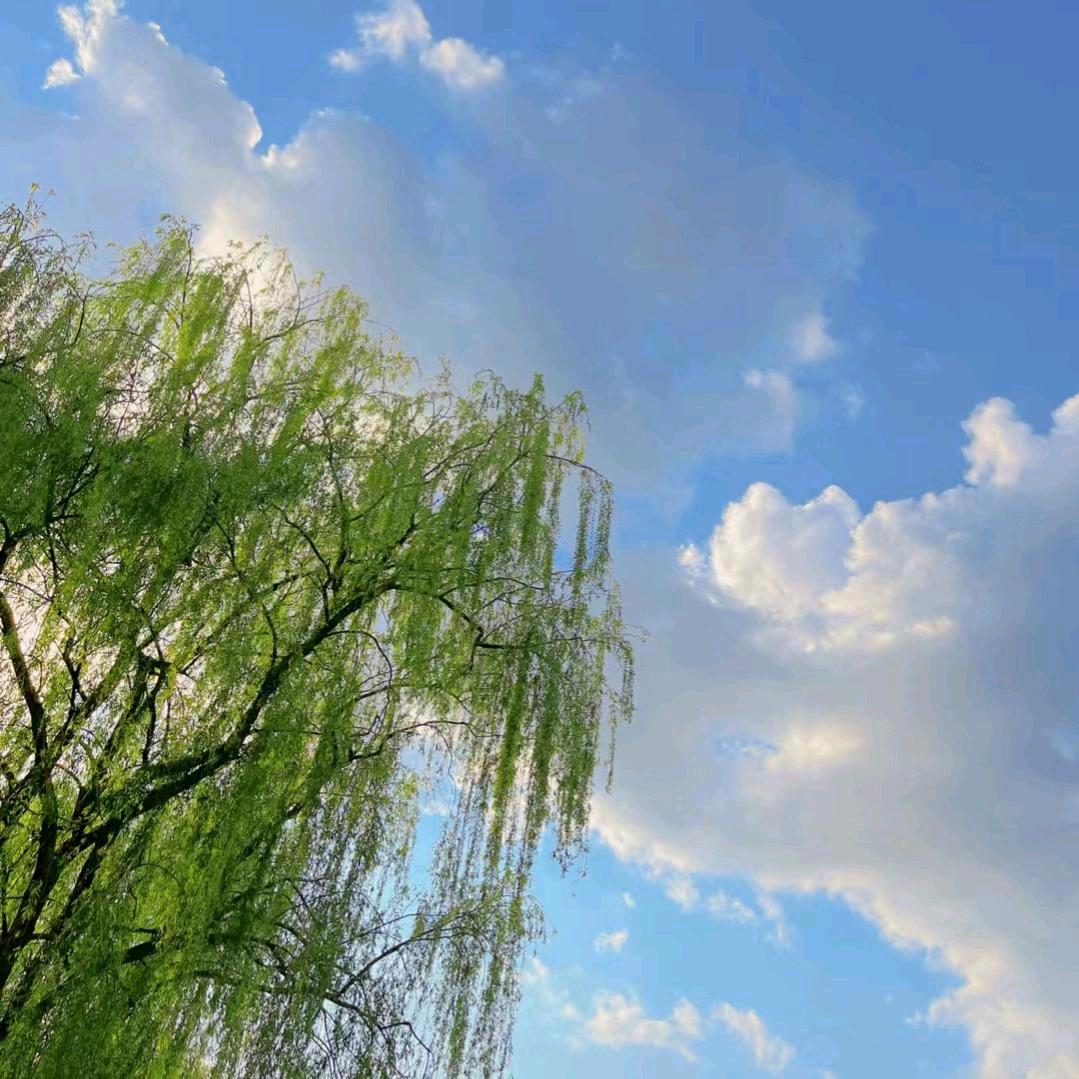 80后的我