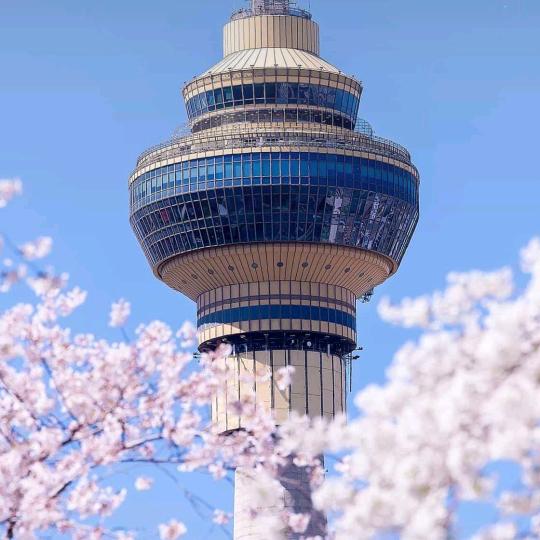 易卓五金建材