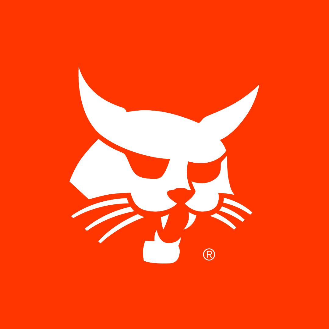 山猫Bobcat