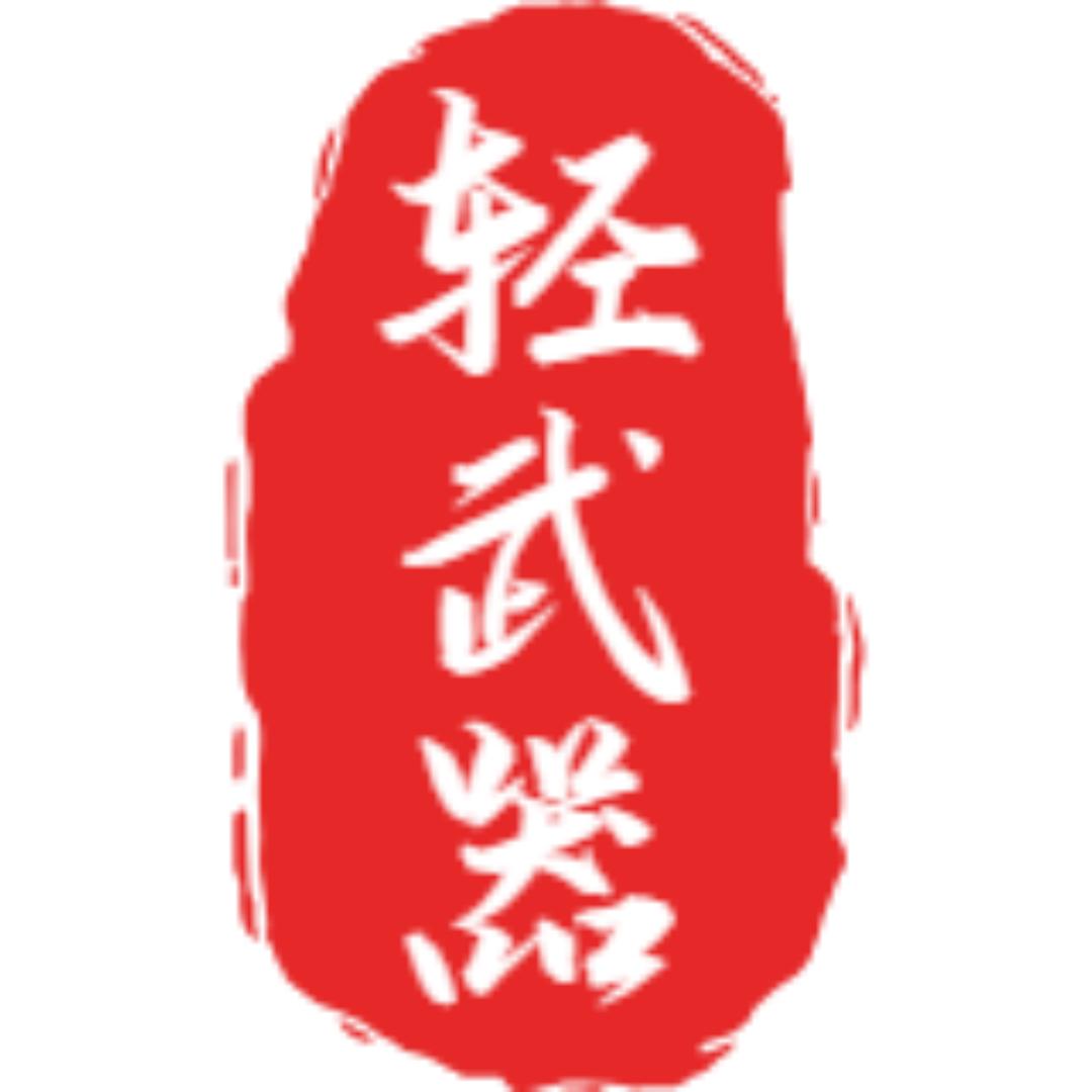 轻武器原理