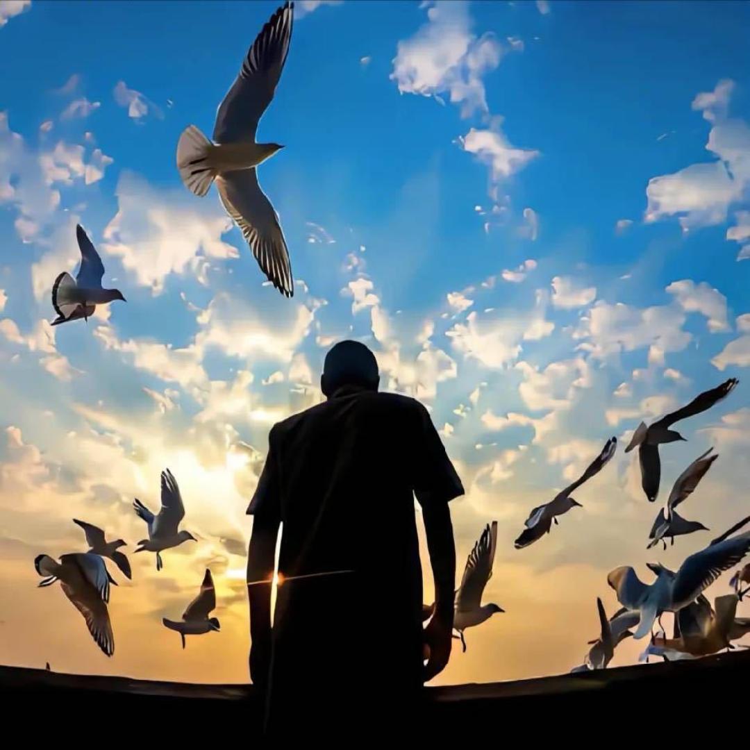 天空之城ㅤ