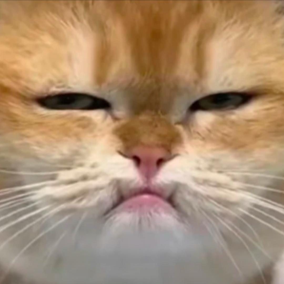 吃瓜电竞