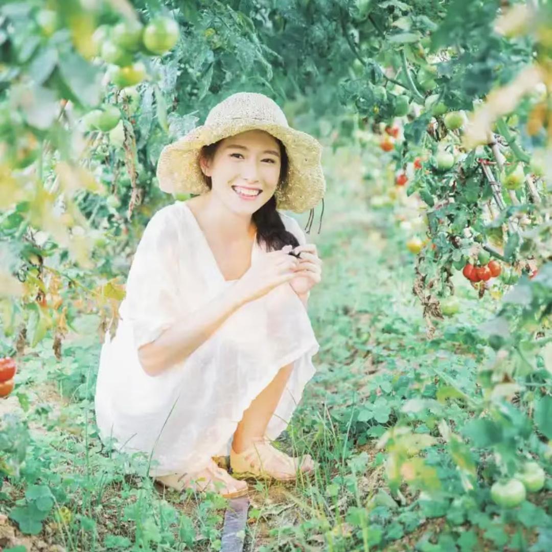 四季鲜小菜园