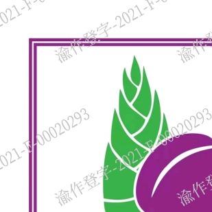 在重庆种水果的冉师傅