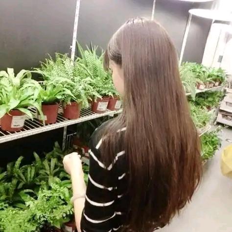 卿心服装店