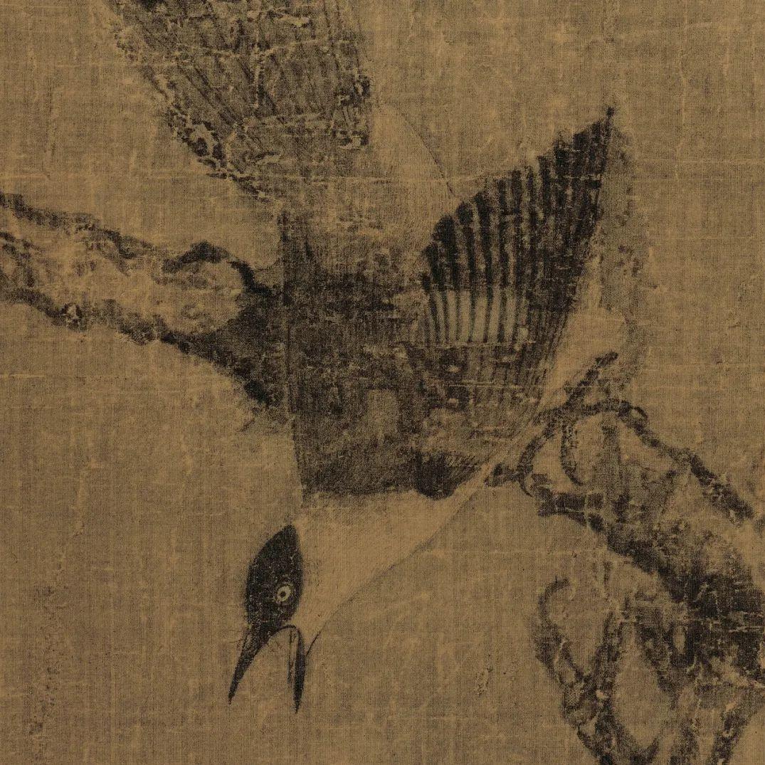 阳瑞霖飞