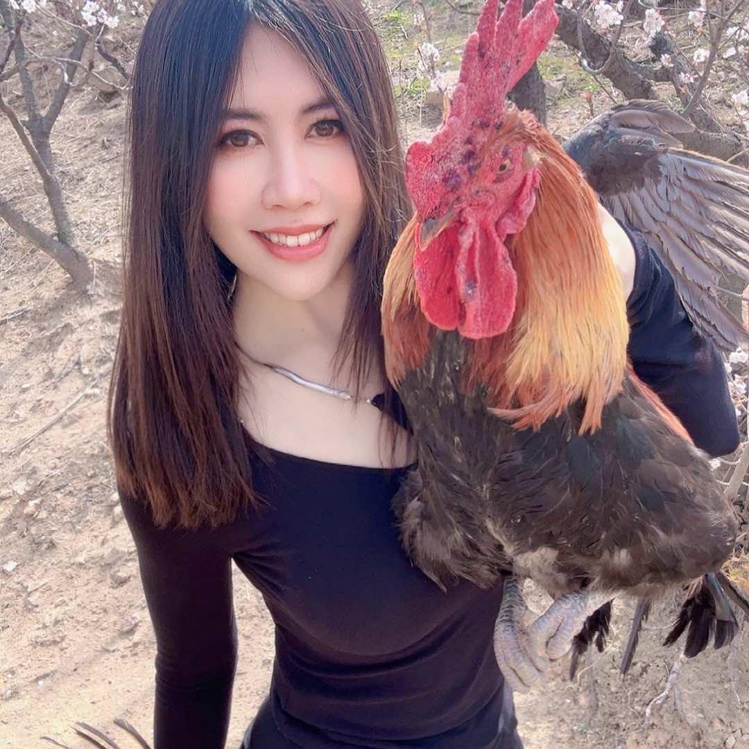 宏力山庄农家宴