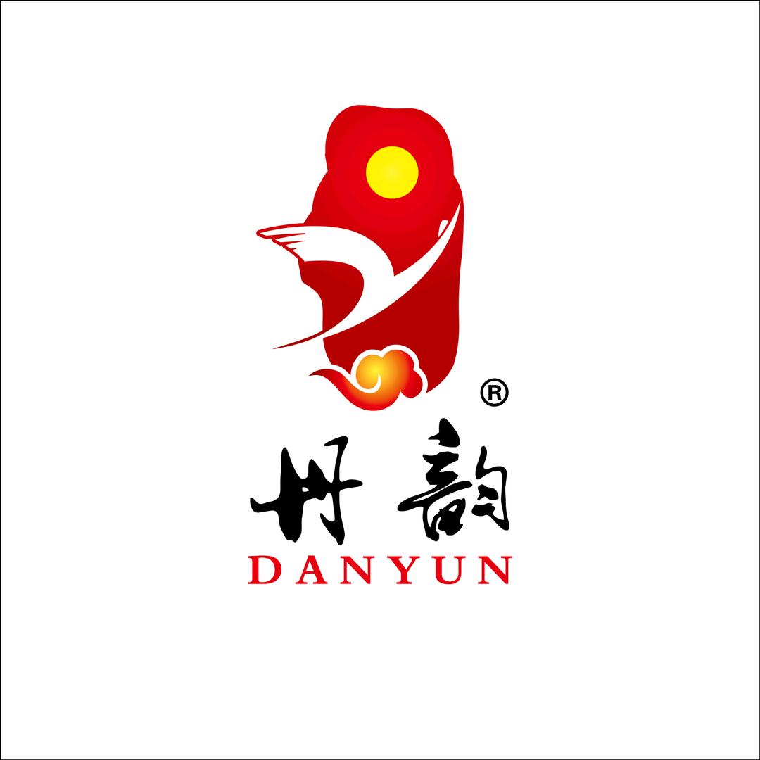 宜宾市丹韵乐器有限公司