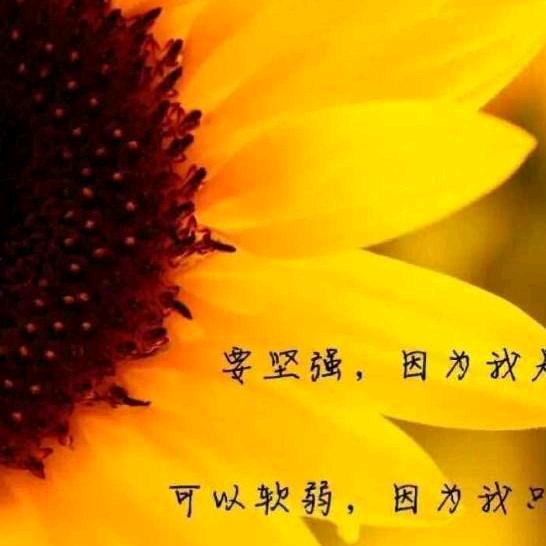 邳州李记家常菜