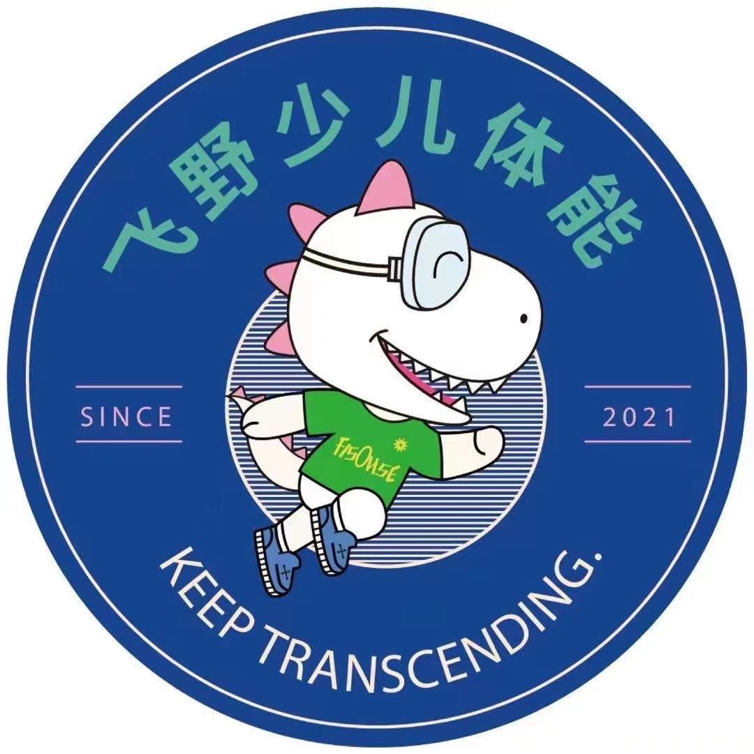 飞野少儿体能