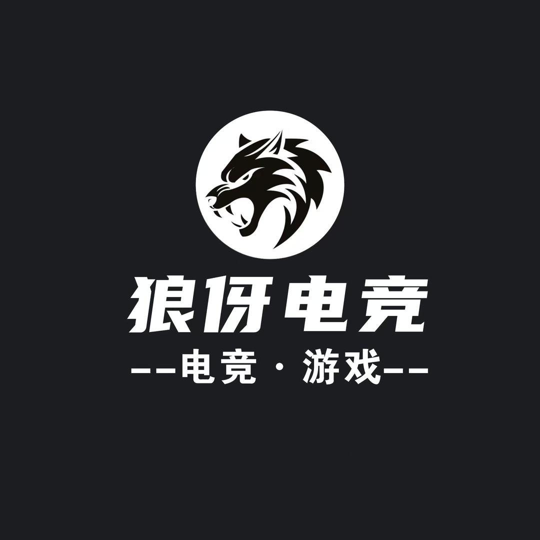 狼伢电竞