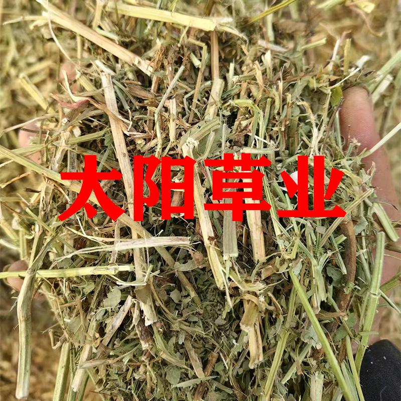 太阳草业