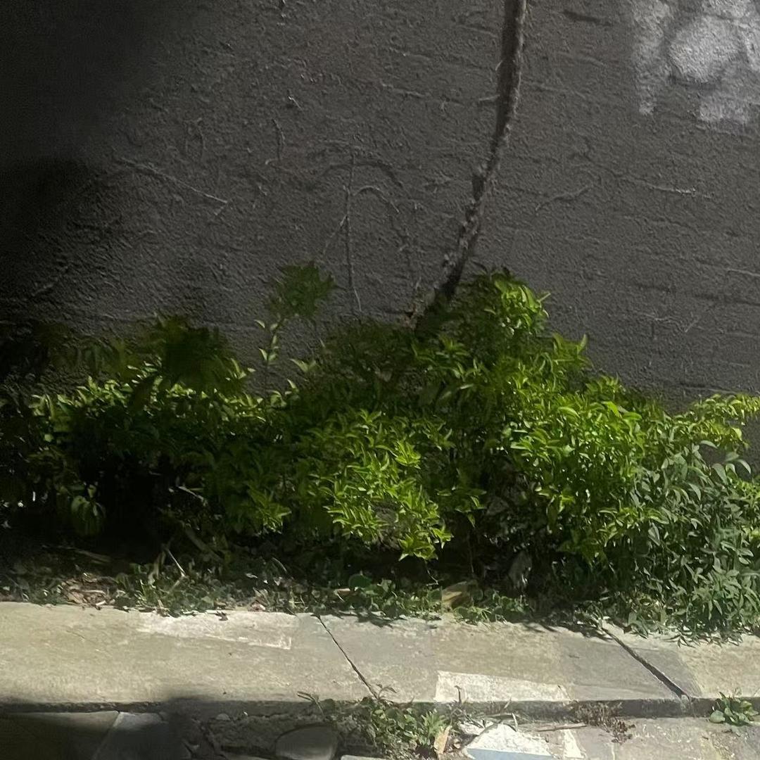 昆明吧三商贸行生活号