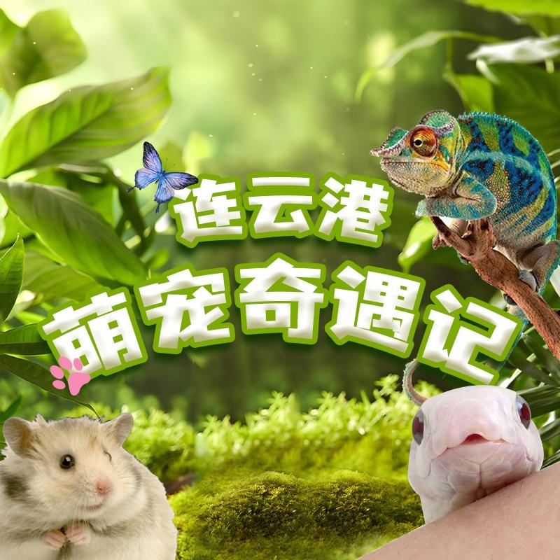 萌宠奇遇记