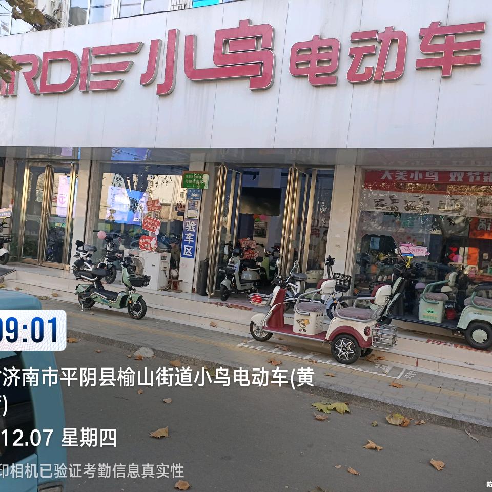 平阴小鸟电动车