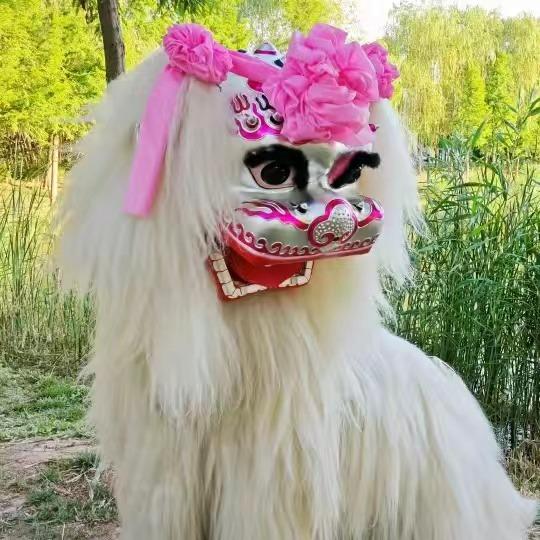 总团张虎(河南鸿 盛舞狮表演团)