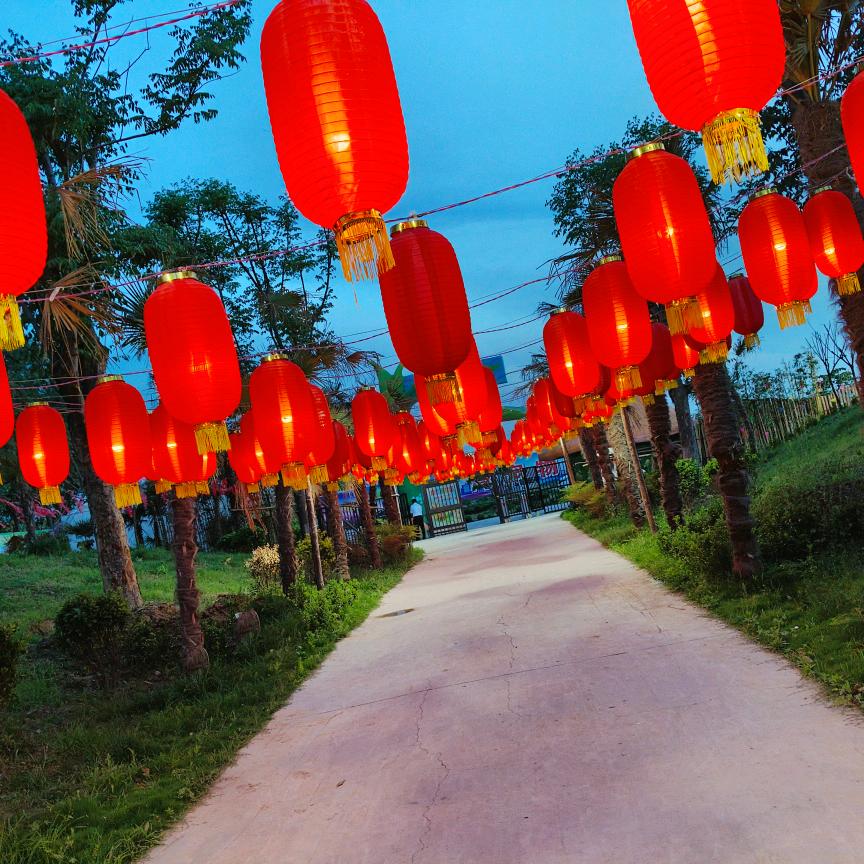 葵花王国