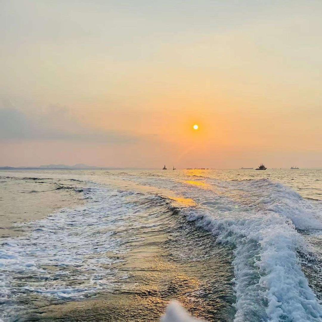 小海豚海钓俱乐部