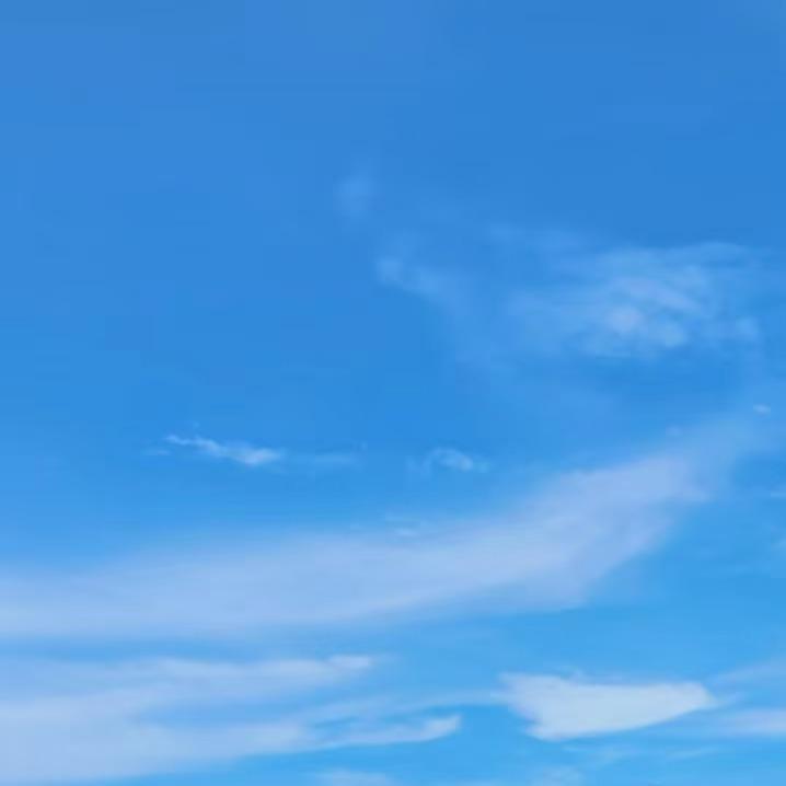 灰灰(星永)