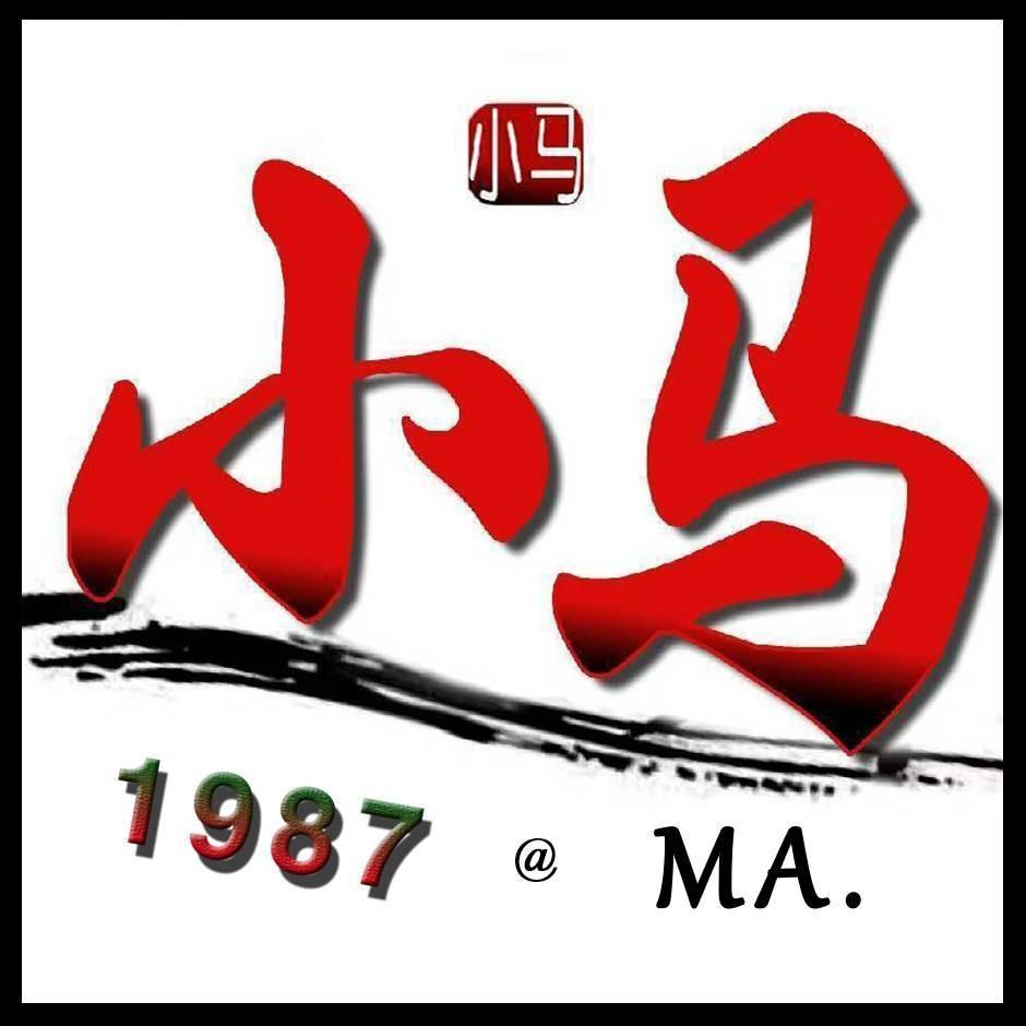 小马严选二手车