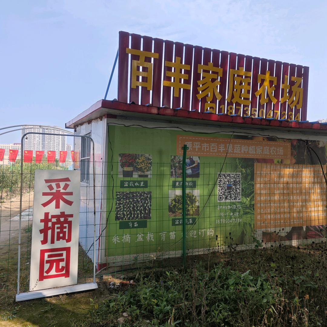 百丰家庭农场采摘园