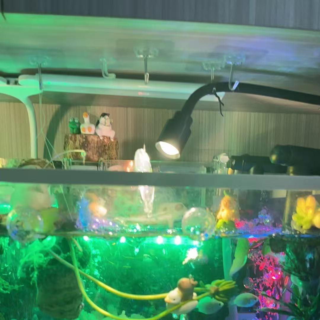 昆明宰秋泳商贸有限公司碎碎念
