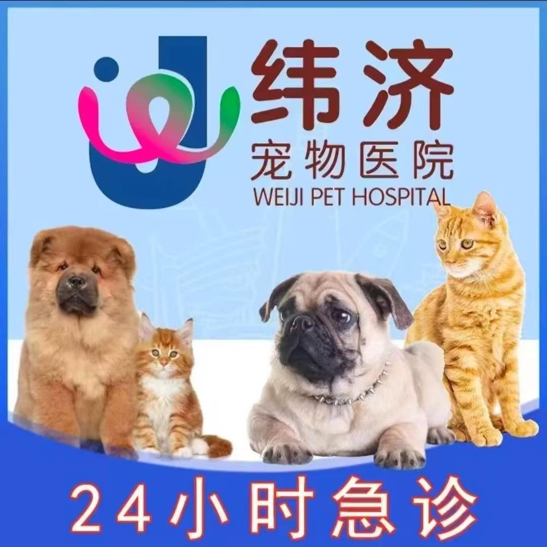 纬济宠物医院(花都店)专用号