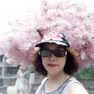 女人如花